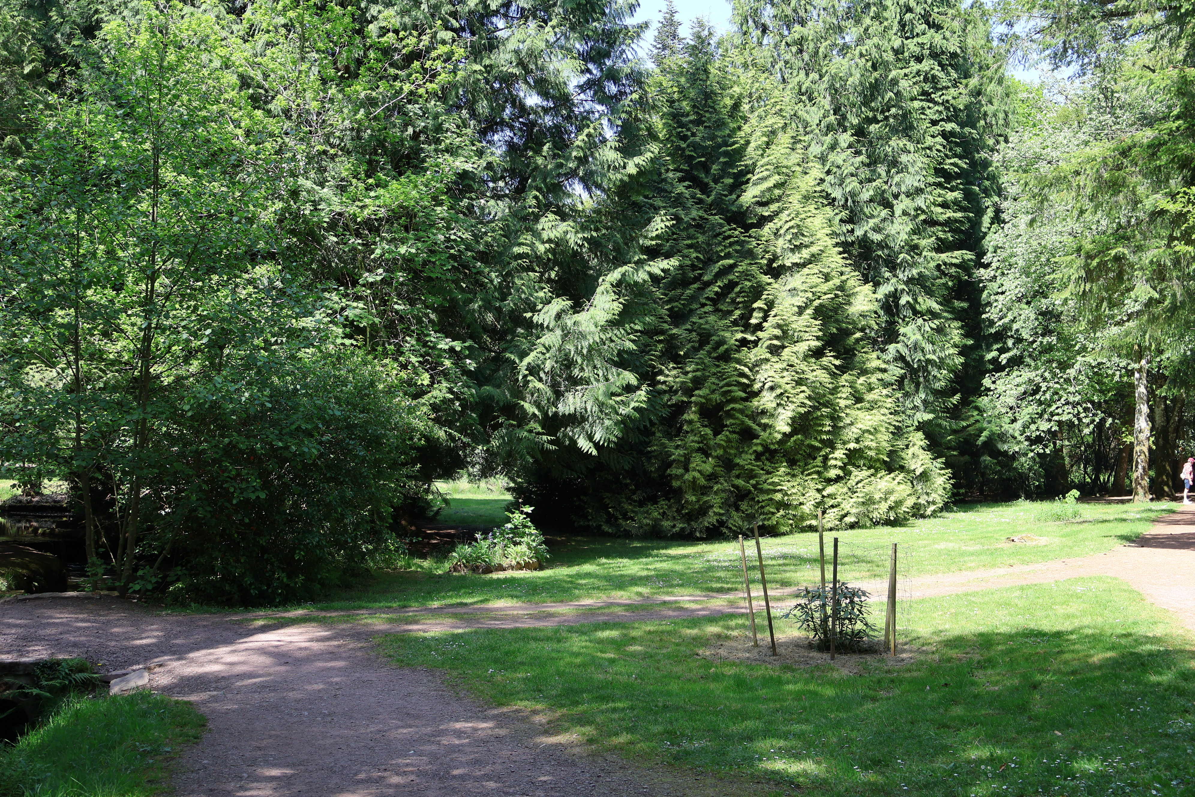 Photo de la ville Paimpont